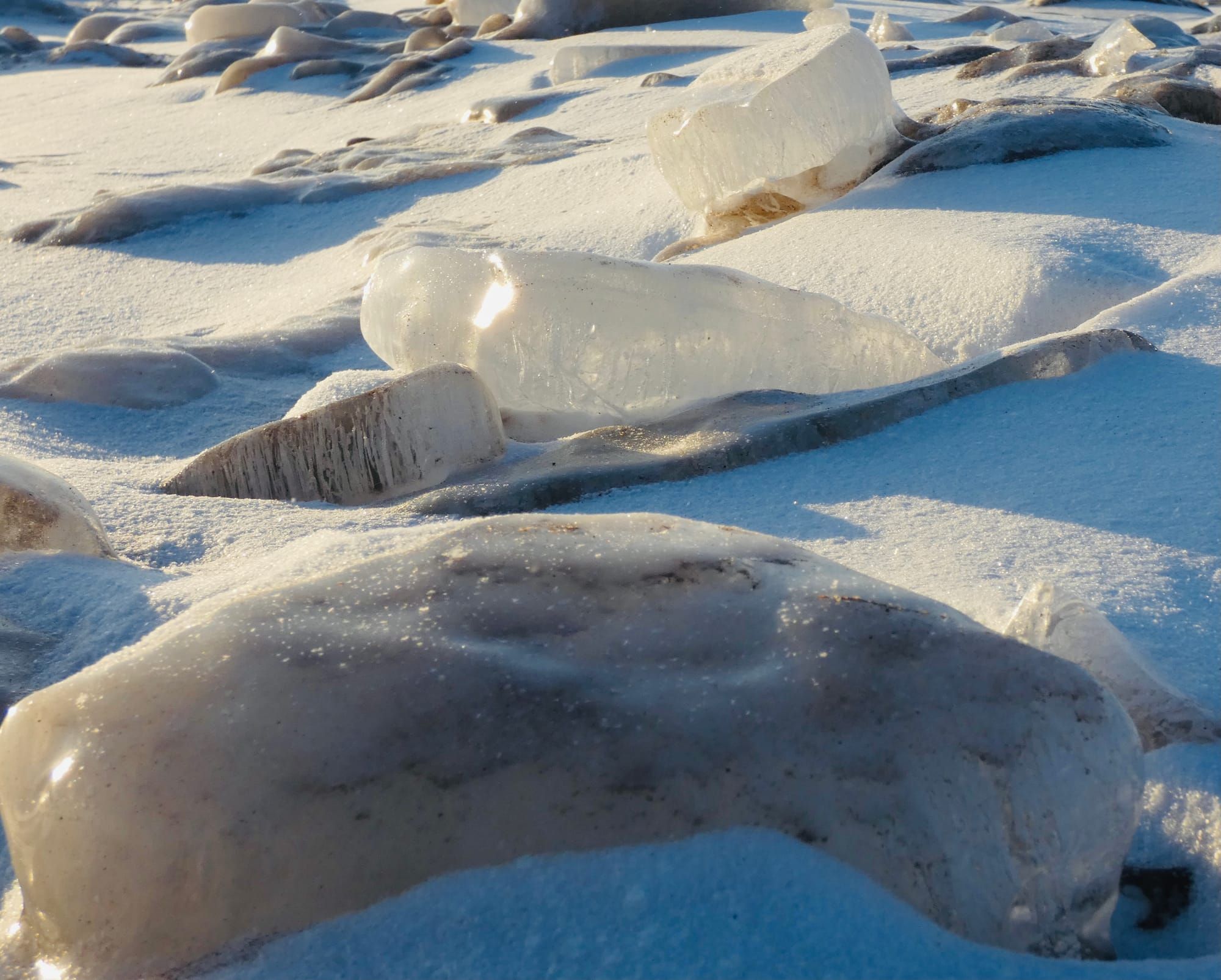 Dogen's Private Notes from the Hokyo Era: Obstructions or Picking and Choosing?