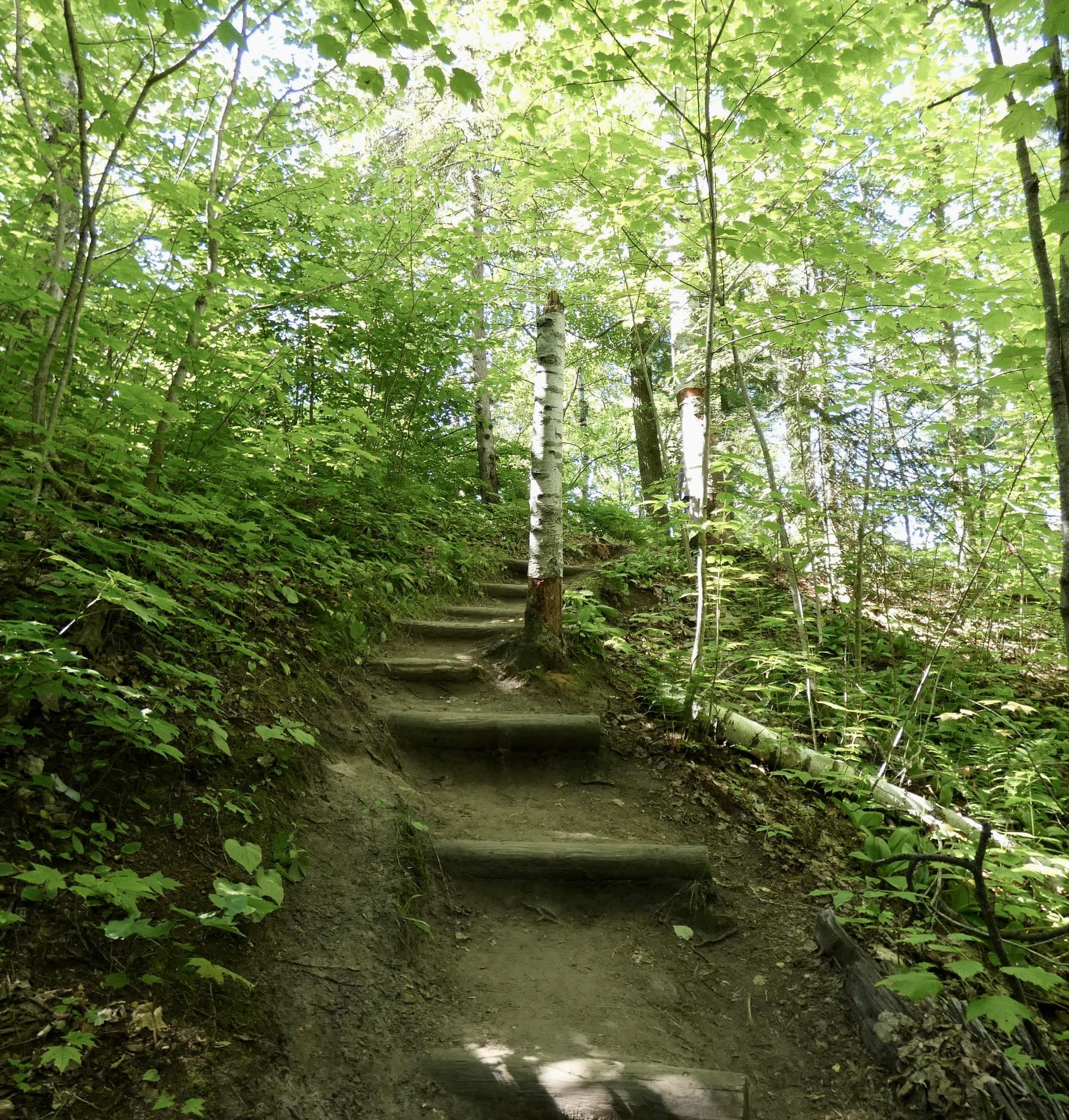 A Treasure from the Ancient Trailblazers: Nine Stages for Calming the Body-Mind