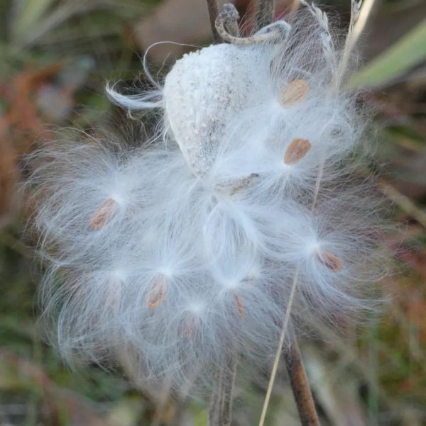 Smashing Mu to Smithereens