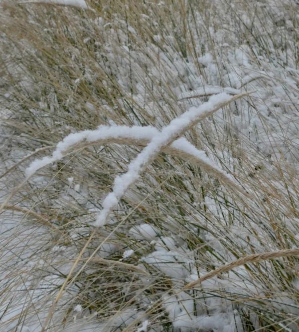 How to Investigate the Three Subtle and Six Coarse Aspects