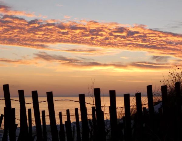 Noble Ones, Do You Not Trust This Yet?(EK 8.14.6)