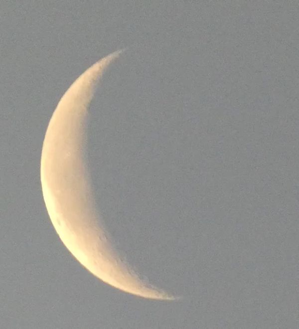 A Soft Pre-Dawn