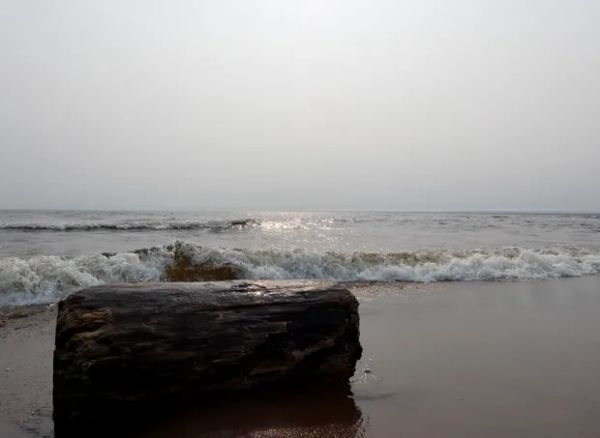 Old Log Series