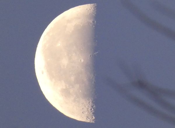 On Completing the Translation of the Record of Going Easy