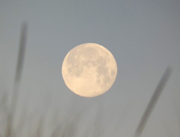 The Oh-So-Subtle Point of Zen and Its Significance