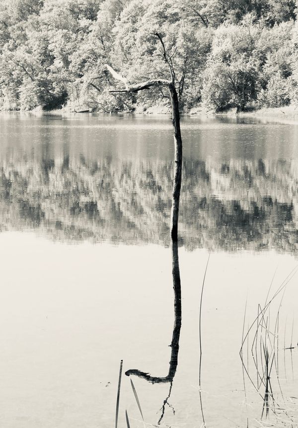 Polishing a Tile to Make Four Subtle Wisdom Buddhas