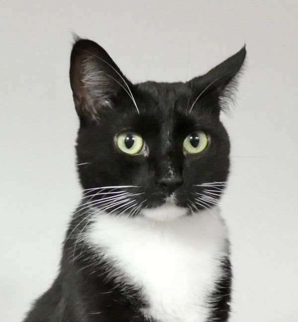 What Are You Figuring To Do, Sitting There In Zen?