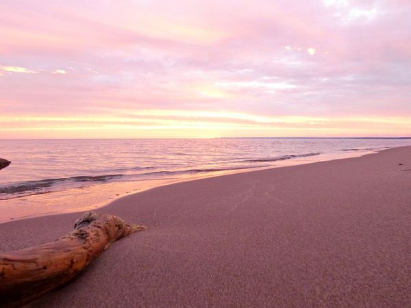 A Review of Vine Writing in 2025 & What Might be Offered in 2026