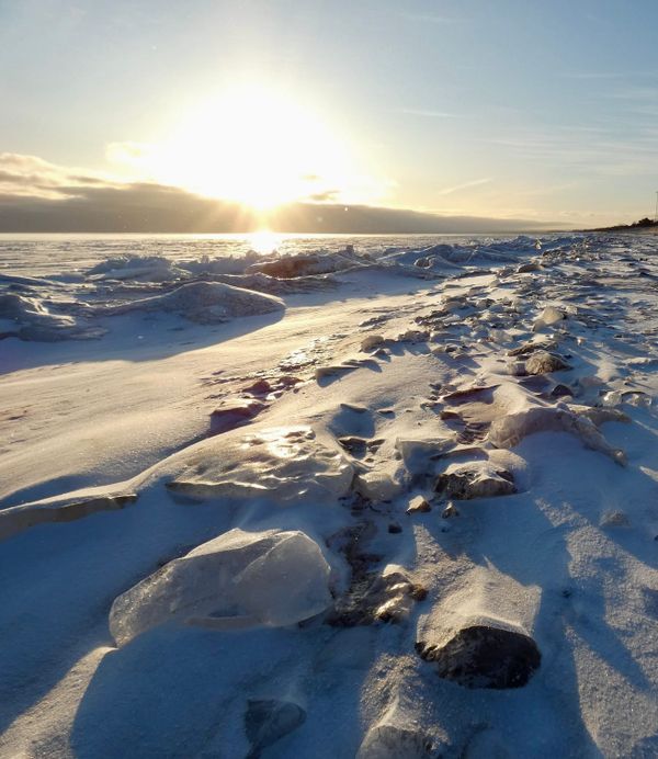 Dogen's Private Notes from the Hokyo Era: What Was Dogen Thinking?