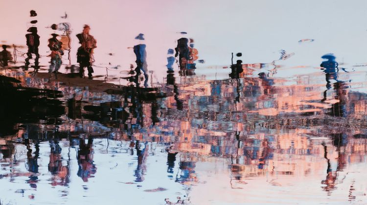 Kopje onder in de gracht