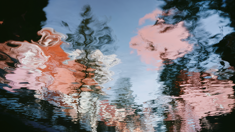 Nieuwsbrief #18 – De kastanje groeit niet uit onze botten 🌰