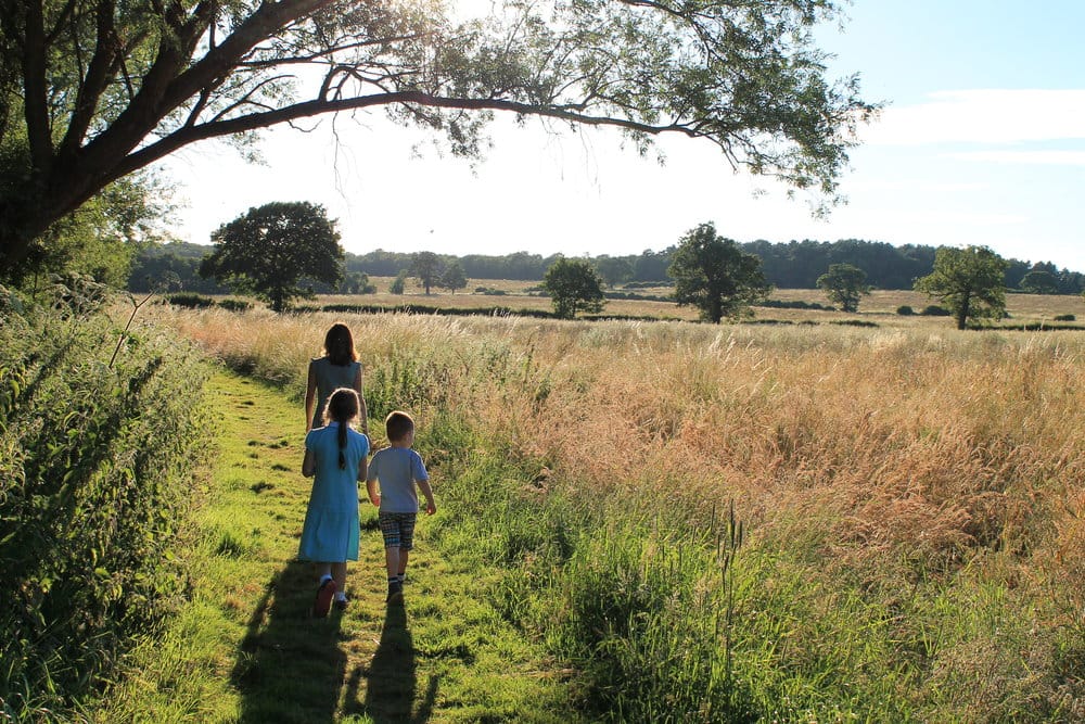 Goodbye, green belt?