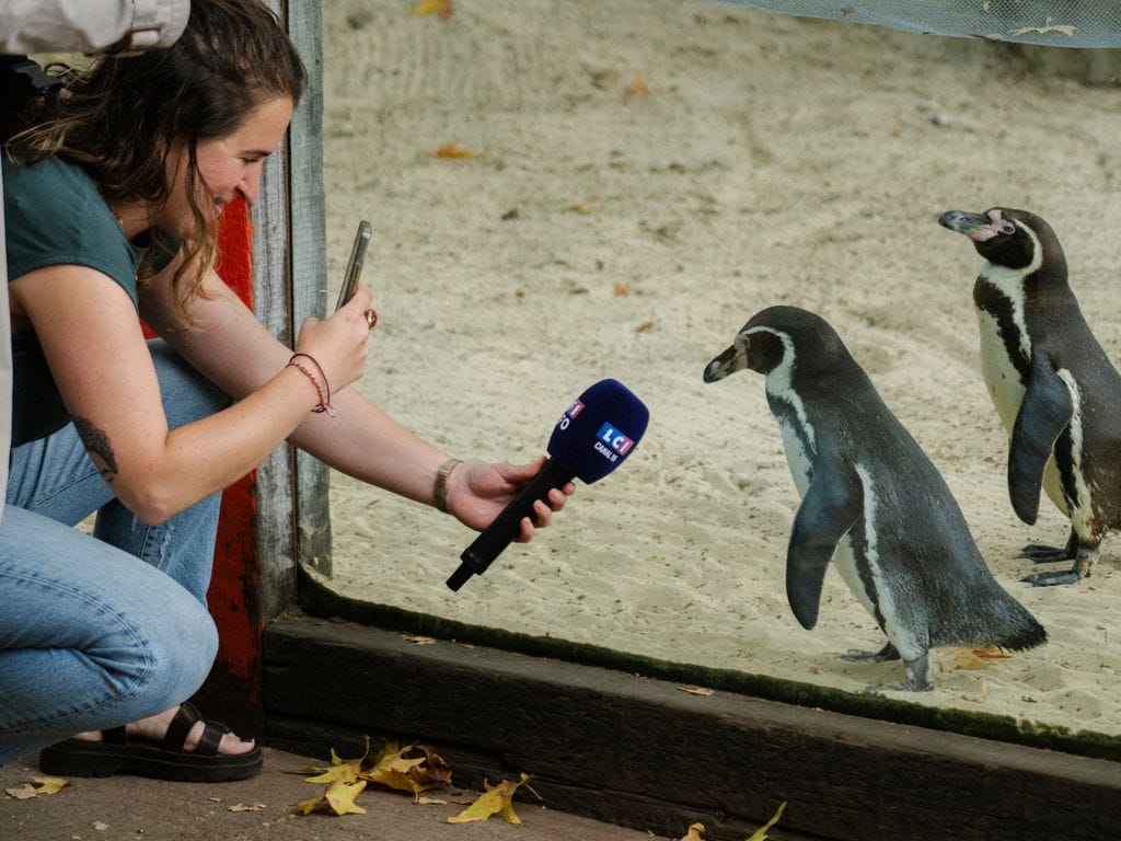 Weighing time at the zoo