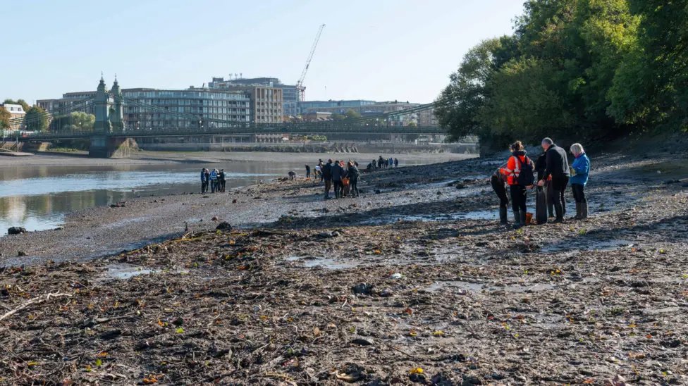 Farewell to wet-wipe island