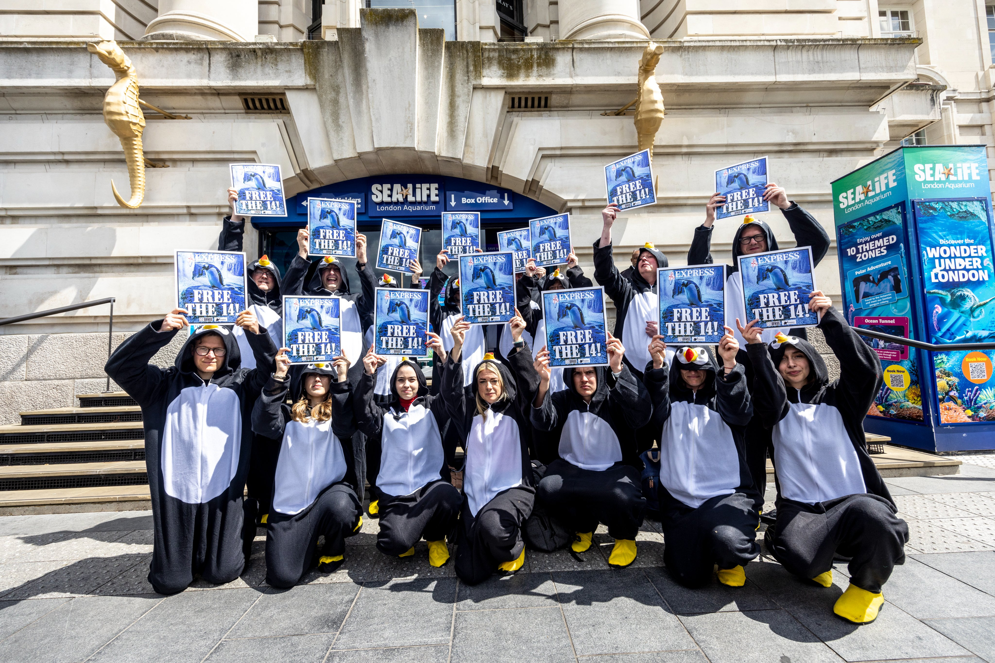 Freedom for London's basement penguins