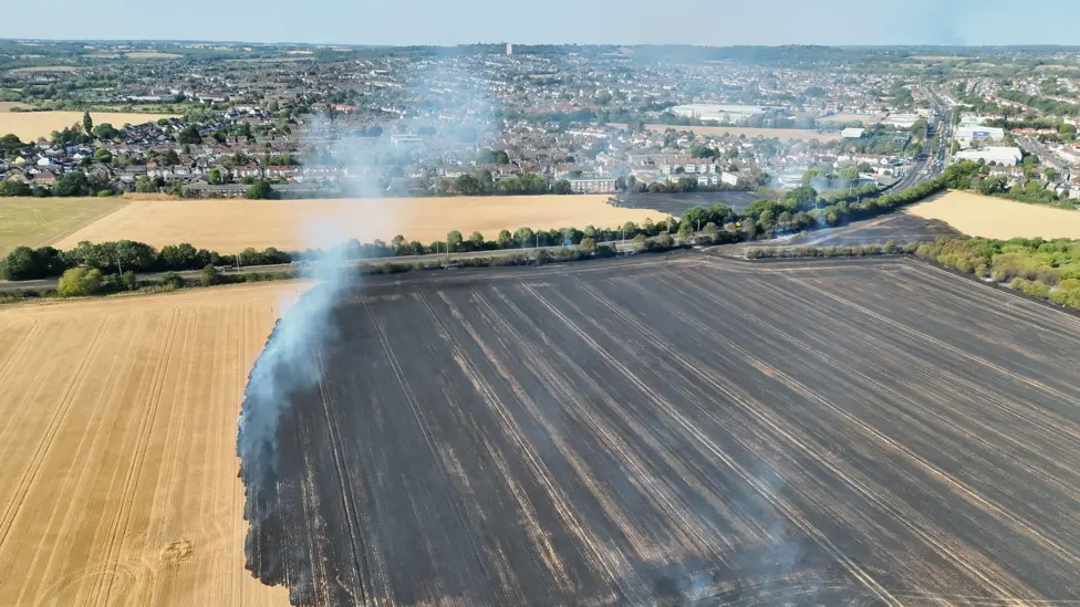 The arsonist who tried to set London Fields ablaze