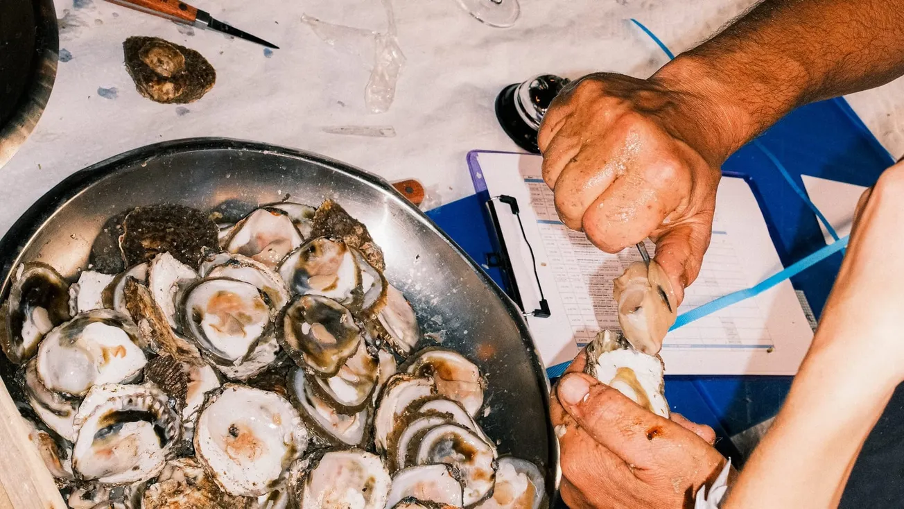 Knives out: London's oyster shuckers square up