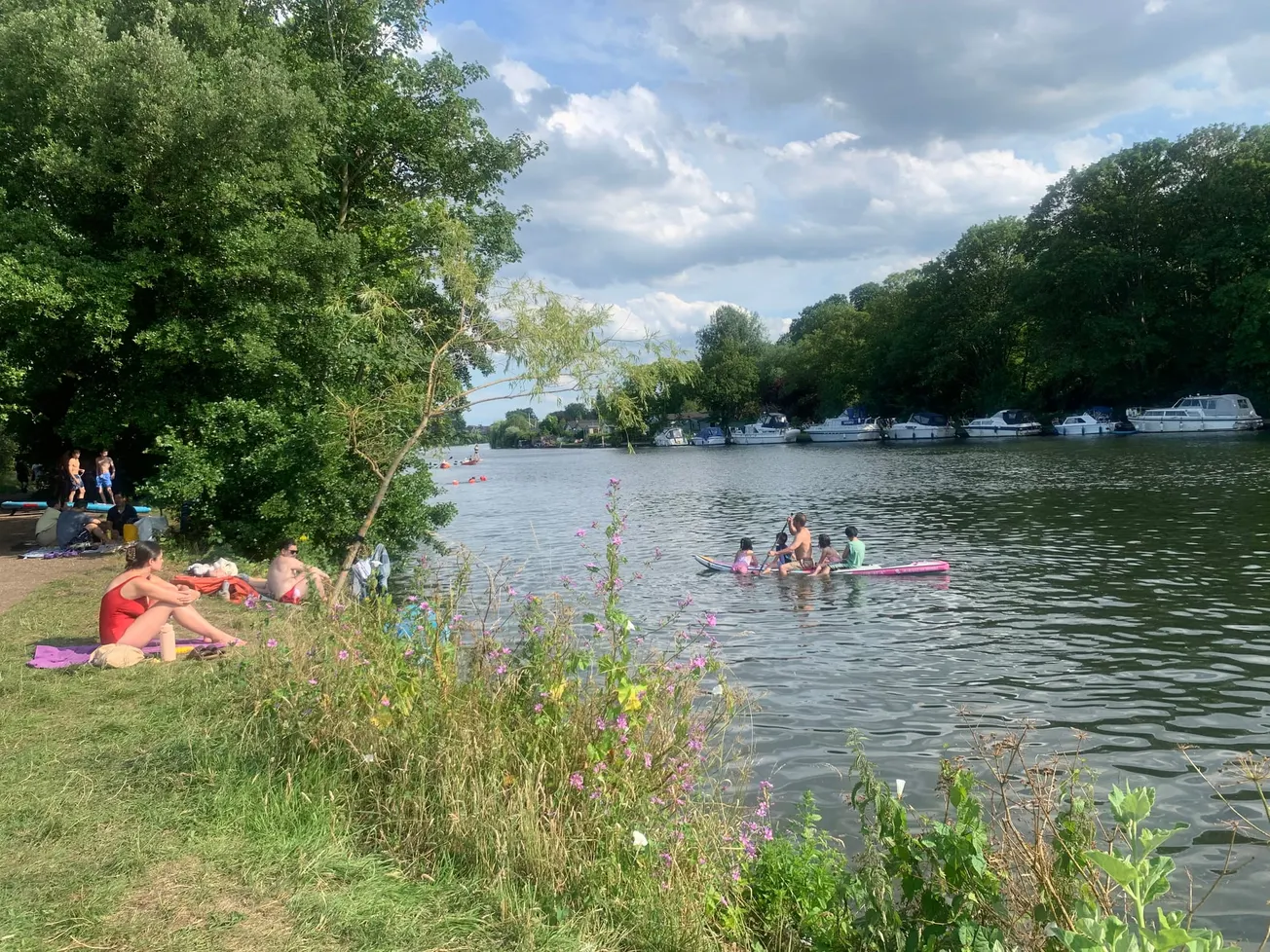 It's the river's first official swim spot. So why is Thames Water threatening the 'Costa del Ham'?