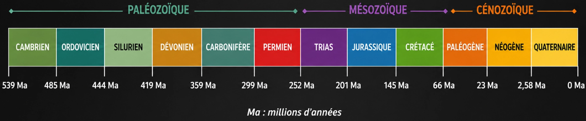 Geological timescale from the Cambrian to today, showing the three eras Paleozoic, Mesozoic, and Cenozoic, and the ages of the boundaries between periods in millions of years
