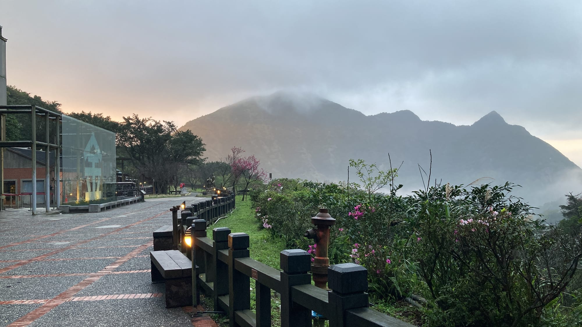 YY's Peaceful Corner