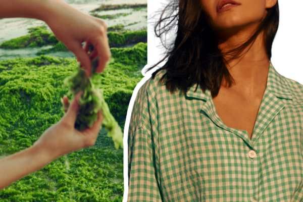 Seaweed buttons make waves