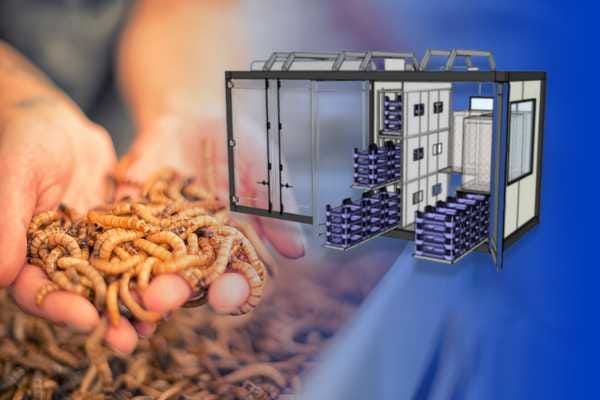 Solving food waste on the fly