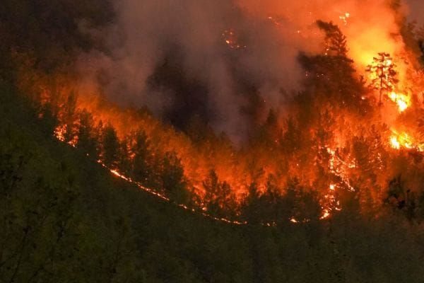 Battling a summer of wildfires