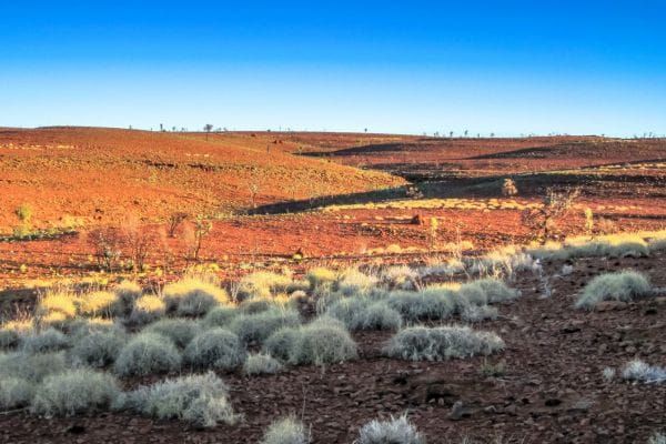 Desert custodians make the cut