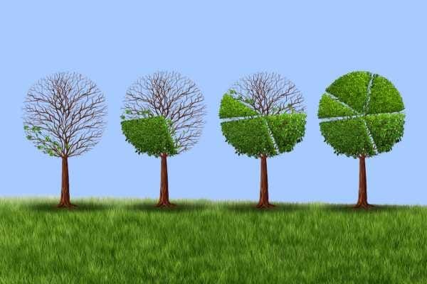 Green transition key to prosperity