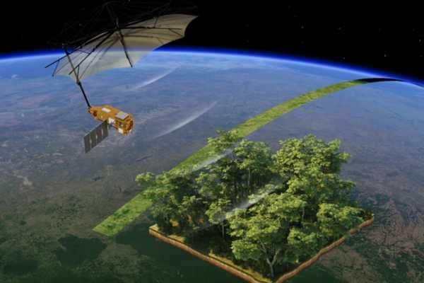 Sighting carbon sinks from space