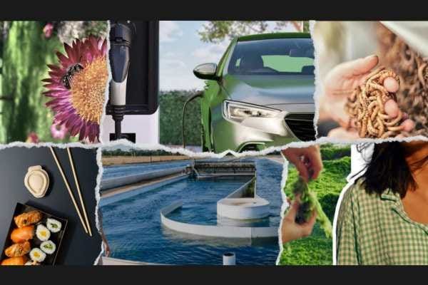 2025: a hive of innovation