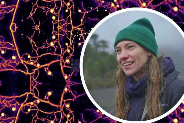 New climate champion takes root