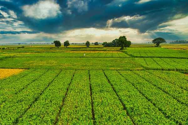 Cultivating sovereignty