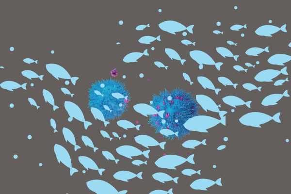 The weekly roundup: ♻️Material jumpstart