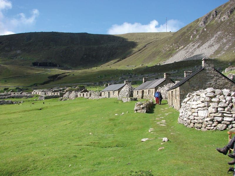 St Kilda, Disease and Immunity