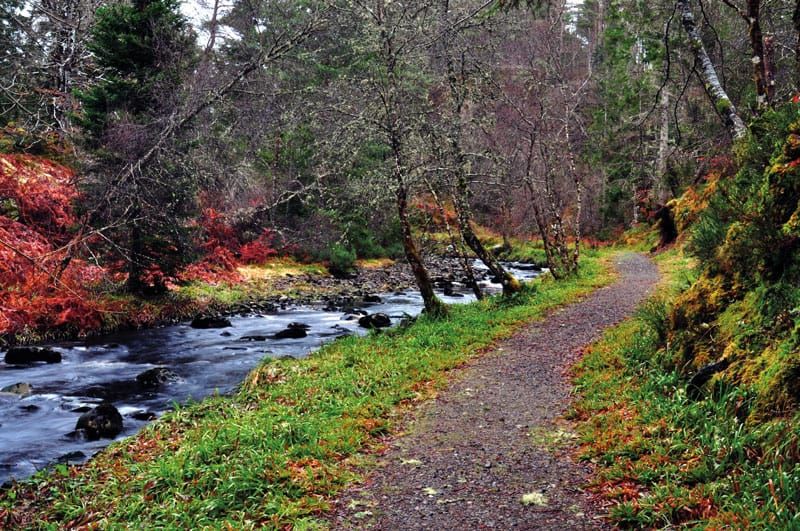 The Fairy Trinkets of Invernauld