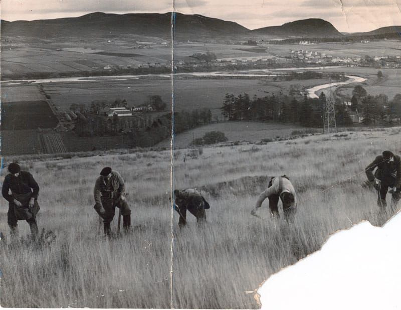 Forests & forestry people