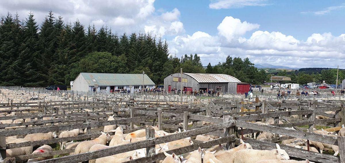 The agriculture of crofting
