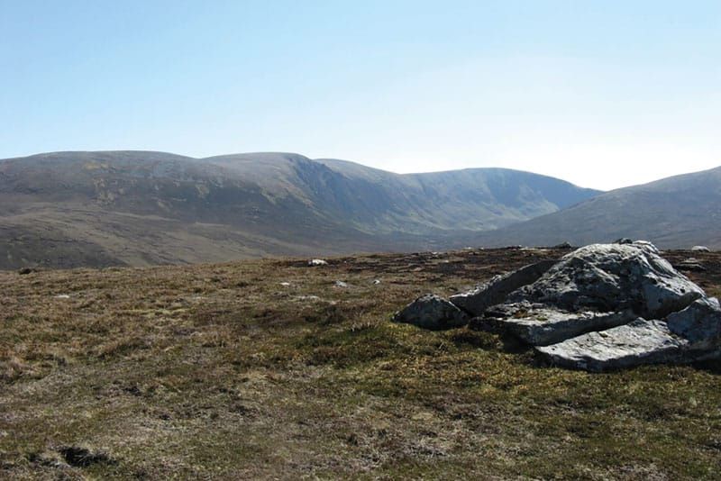 Of old men and noses