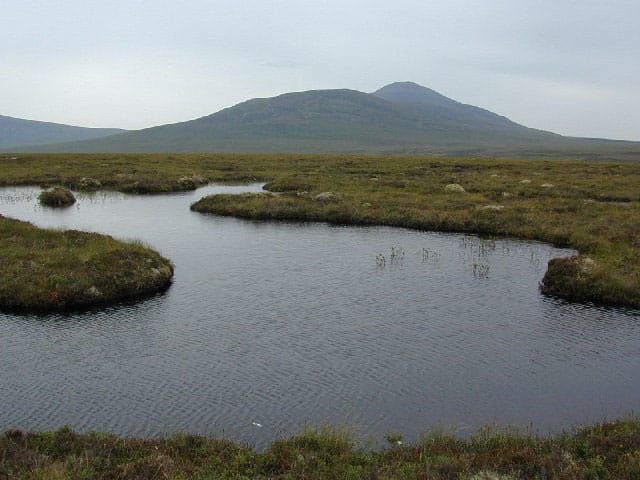 Restoring the peatland of the Flow Country, a project of global significance