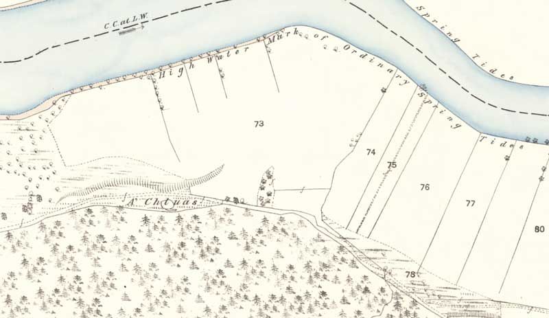 Faces and facial features