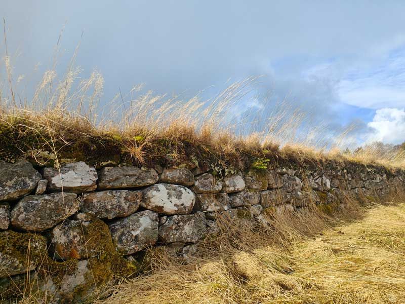These Dry Stone Walls