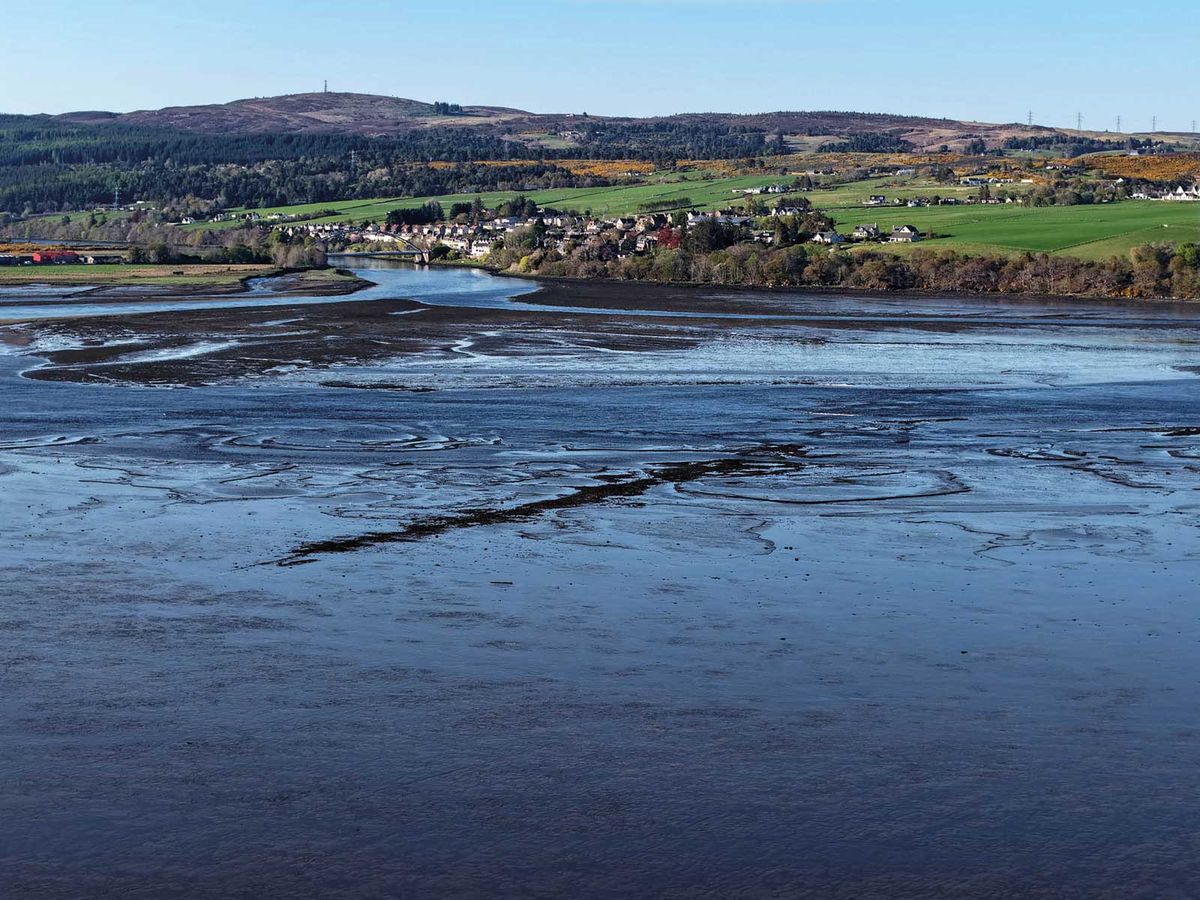 Estuary mud