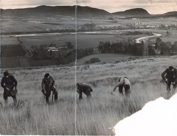 Forests & forestry people