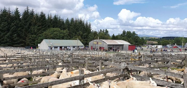 The agriculture of crofting