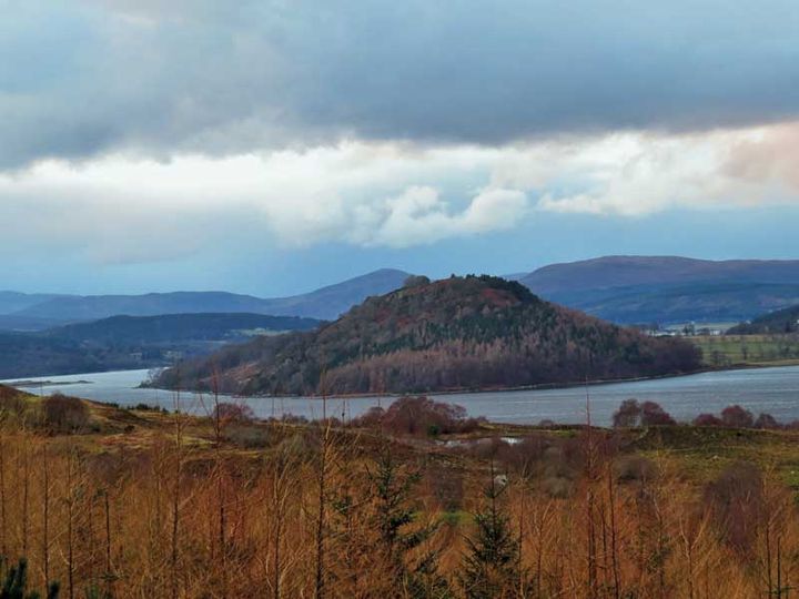 Paul Mactire, 'Paul the Wolf'