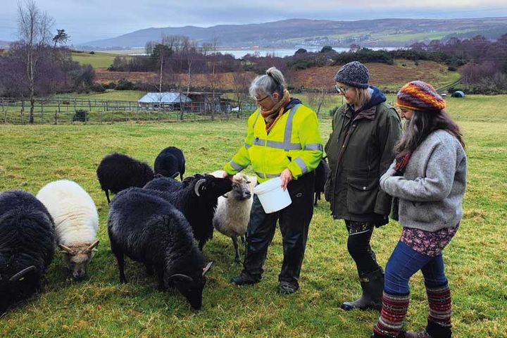 Highland Wool CIC: a sustainable mill