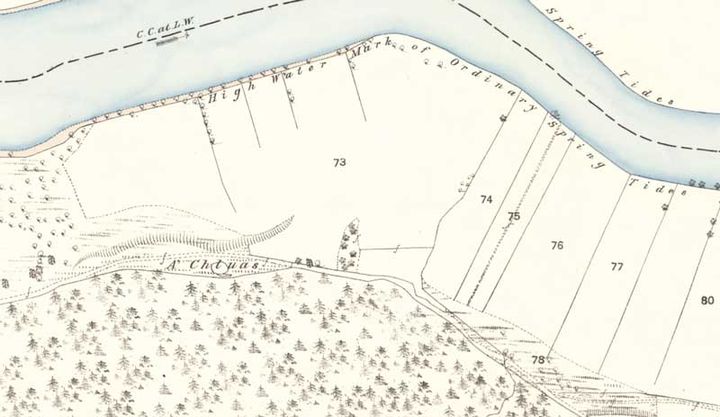 Faces and facial features