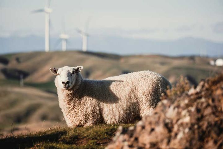Renewable energy and Crofting