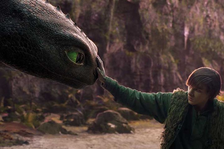 How to train your dragon